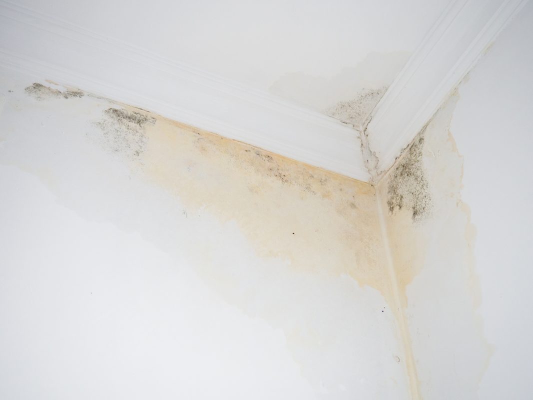 water stains on ceilings