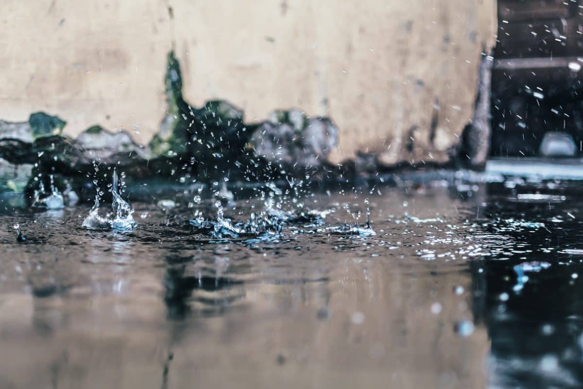 Water Mitigation: The Role of Mitigation in Water Damage Situations