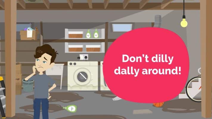 The Importance of Prompt Water Removal: Don't Dilly Dally!