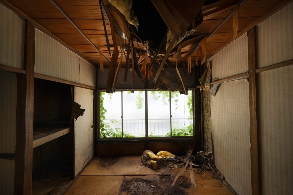 Water-Damaged House